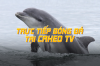 caheotv1