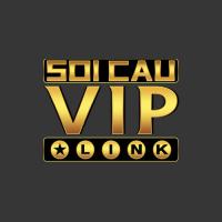 soicauvip-biz