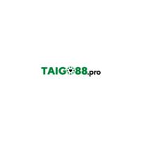 taigo88pro