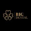 Phòng khám Nha Khoa Big Dental - logo.jpg