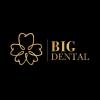 nhakhoabigdental