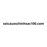 soicauxschinhxac100
