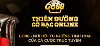 go88vvi