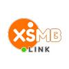 xsmblink