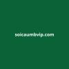 soicaumbvip
