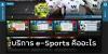 funnythaisesportsw8801