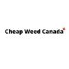 cheapweedcanadaio