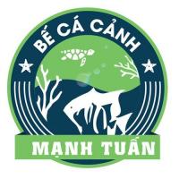 becamanhtuan