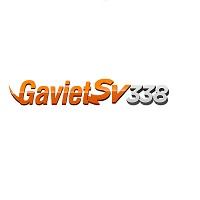 gavietsv388org1