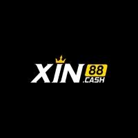 xin88cash