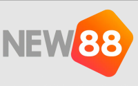 xnew88com