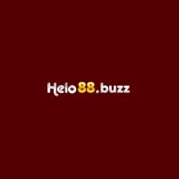 buzzhelo88