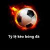tylebongda83