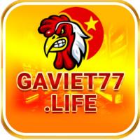 gaviet77life