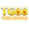 tg88world