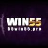 55winpro