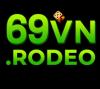 69vnrodeo
