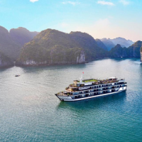 tauvinhhalong