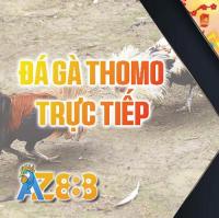 dagaaz888