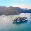 tauvinhhalong